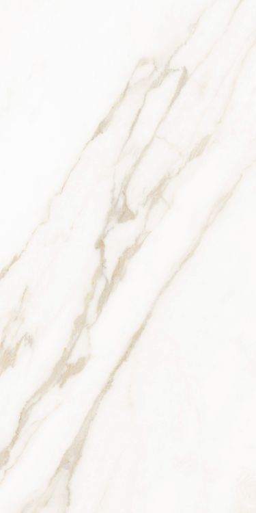 Classy Warm White Matte 12 x 24